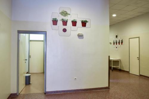 035 Urologija