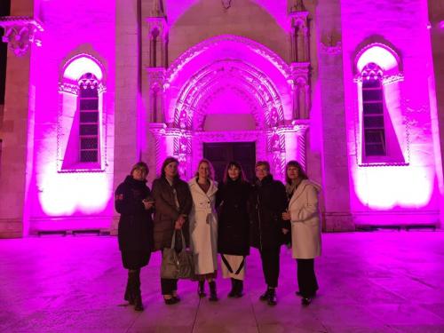 Ljubicasti dan Sibenik dr. sc. Monika Kukuruzović